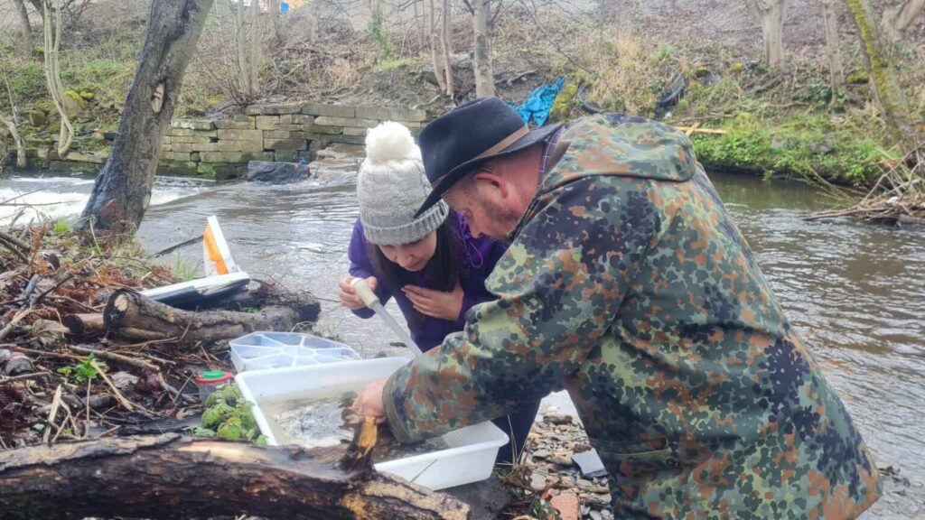 Studying a riverfly sample