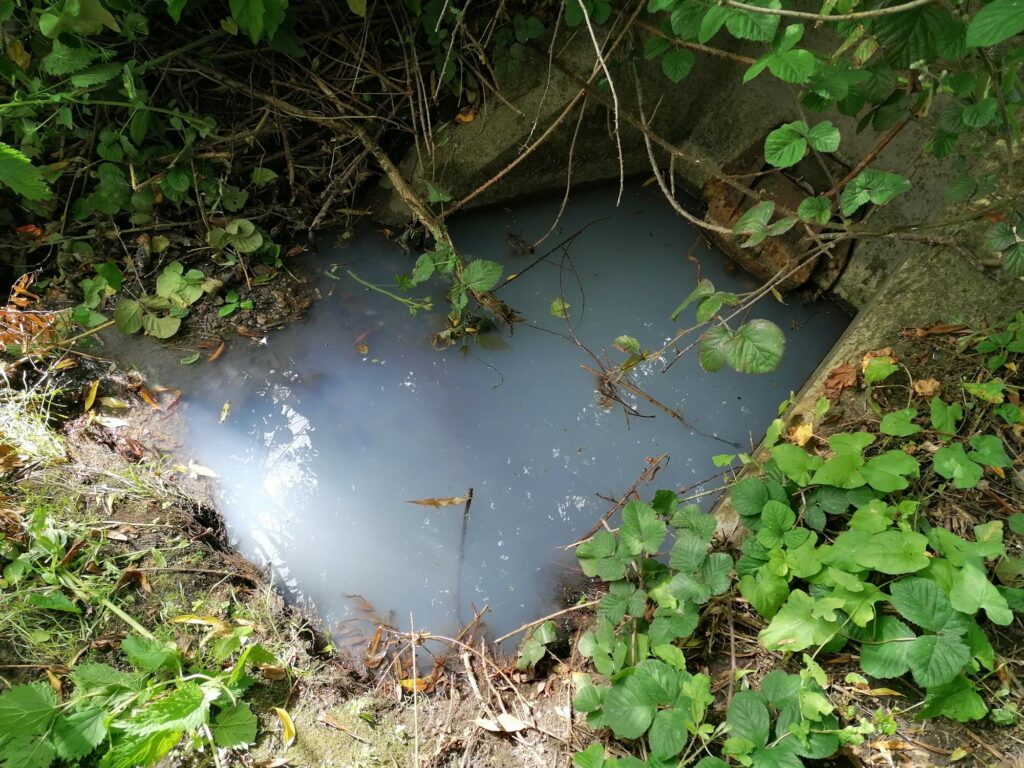 Discharge into Bradley beck